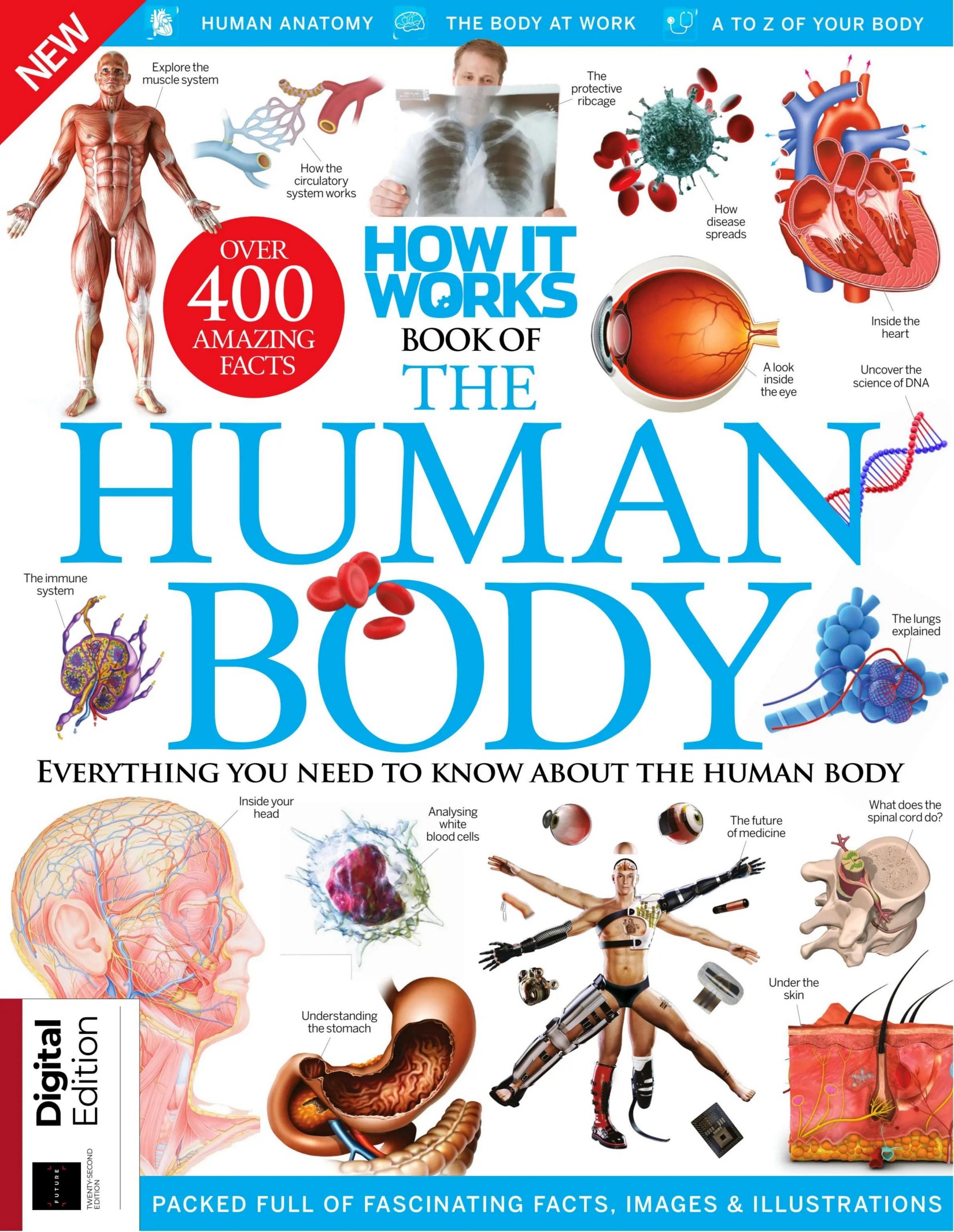 Human Body