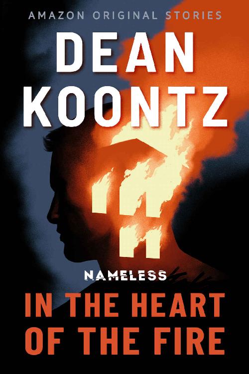 In the Heart of the Fire (Nameless)
